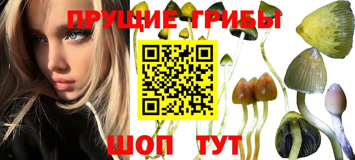 Городец  Галлюциногенные грибы MAGIC MUSHROOMS  Вход с VPN 